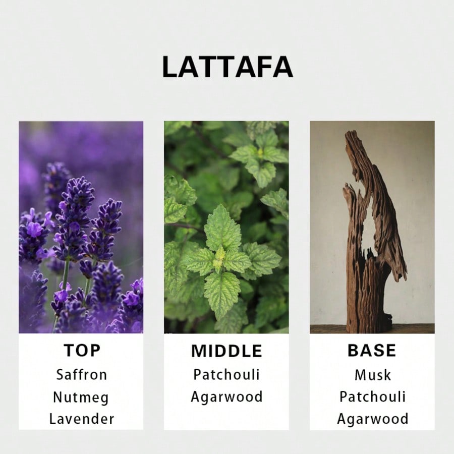 Lattafa Badee Al Oud For Glory - Perfume Fragrance Man 评论和价格