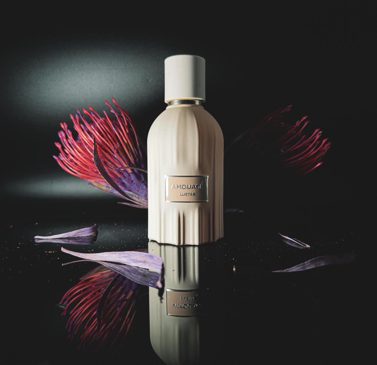 Amouage Lustre Perfume 100ml L - Perfume Fragrance Details 评论和价格