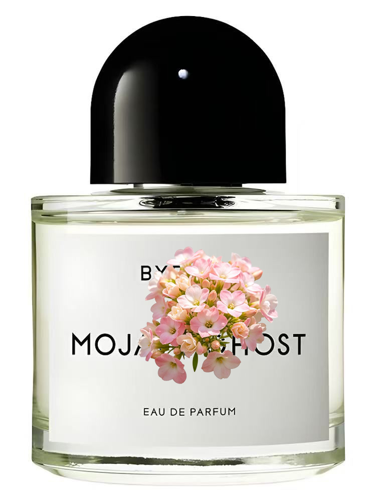 Unisex Eau de Parfum 100ml 3.4 - Amber Musk Oil 评论和价格